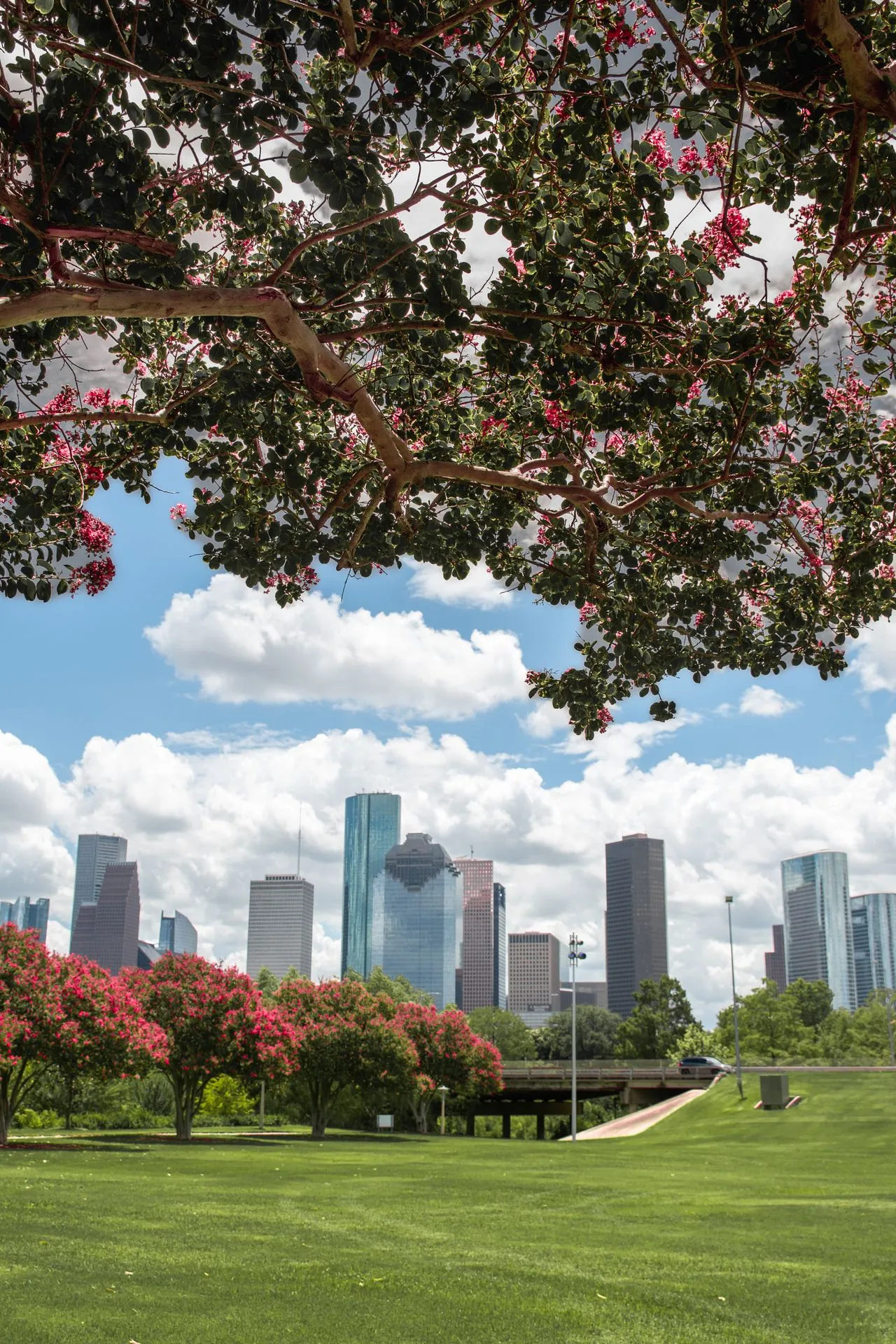 Atascocita SEO Company