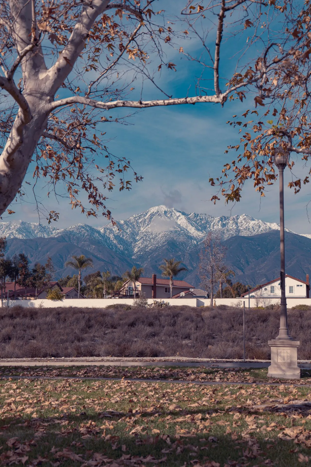 Camarillo SEO Agency