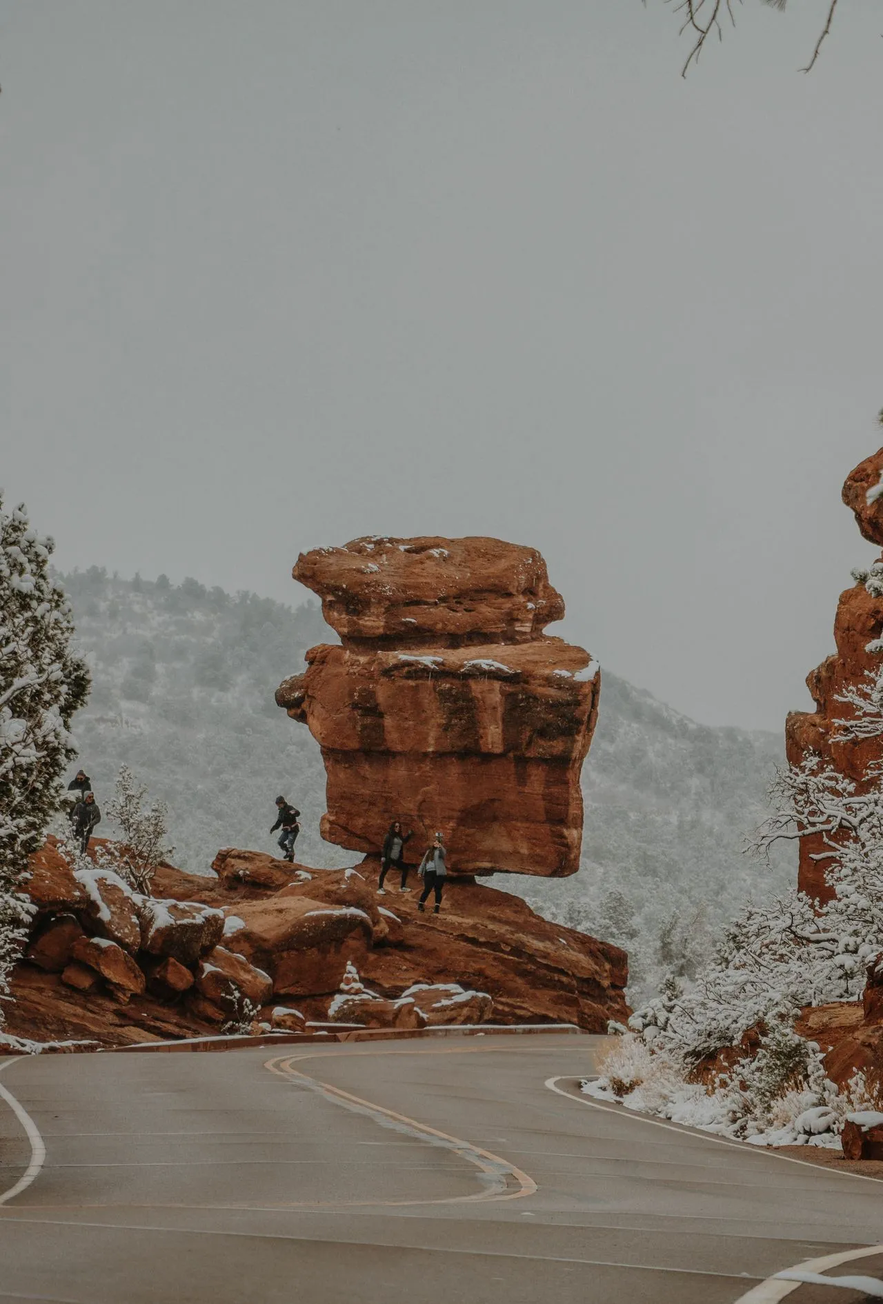 Castle Rock SEO Agency