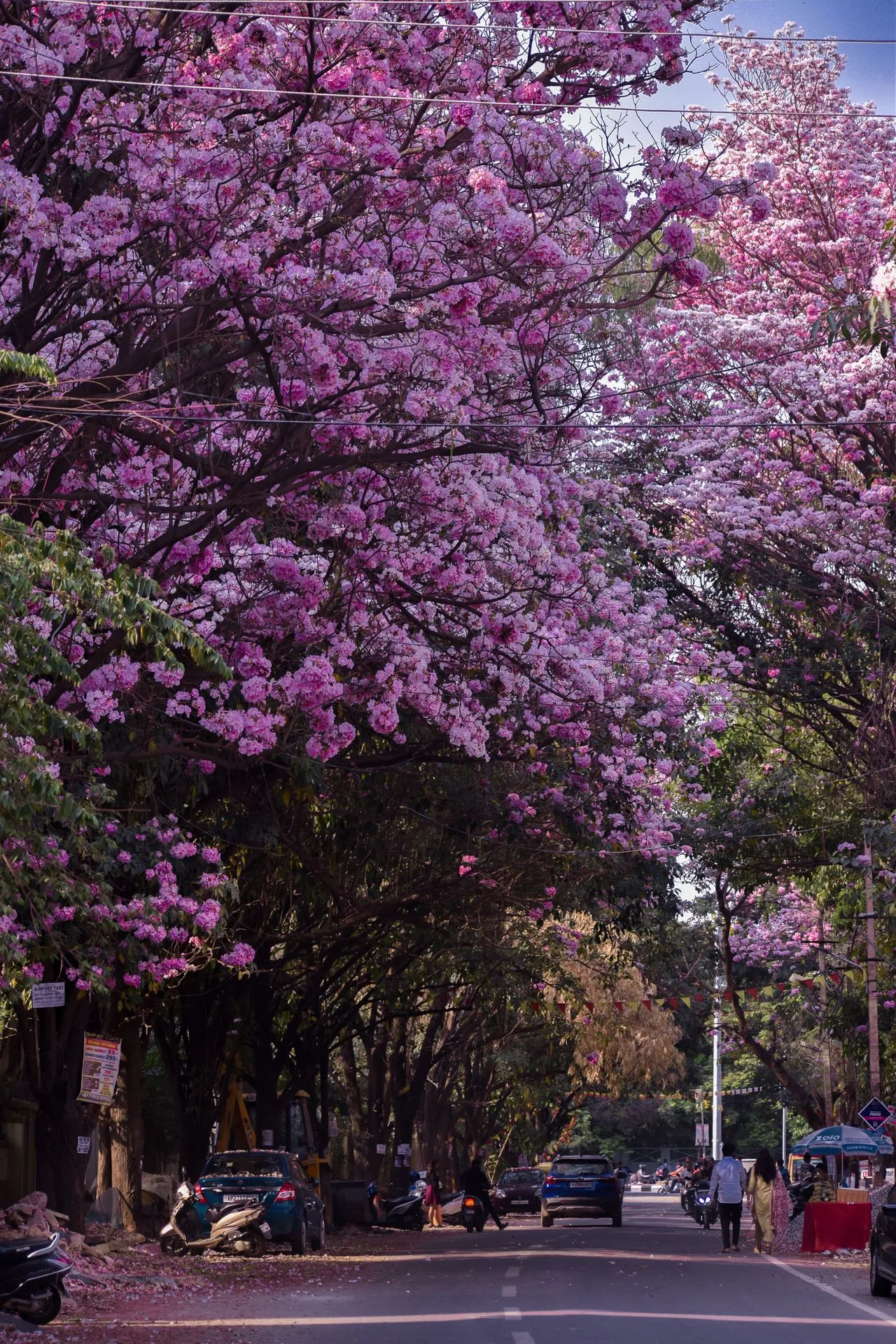 JP Nagar