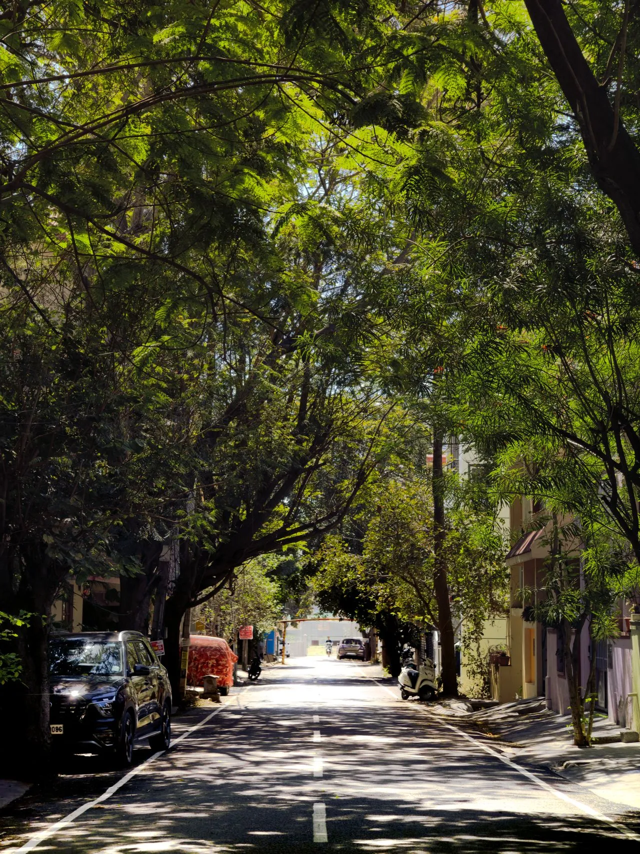 JP Nagar Business