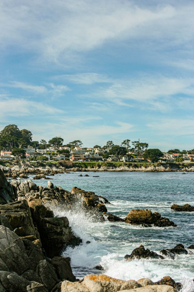 Ocean Springs Business