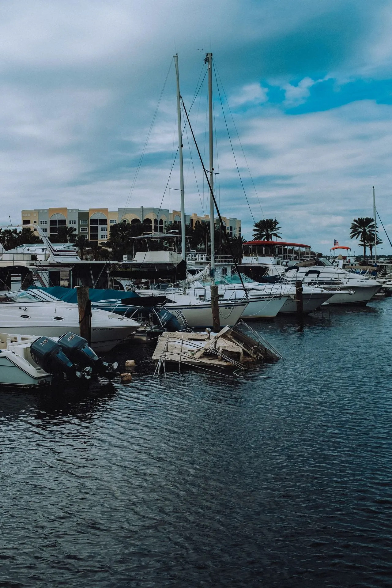 Business in Palm Harbor FL
